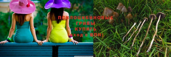 винт Алексин