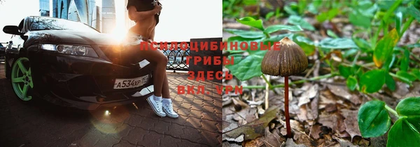 MESCALINE Алзамай