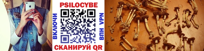 Псилоцибиновые грибы Psilocybine cubensis  площадка Telegram  Сольвычегодск 